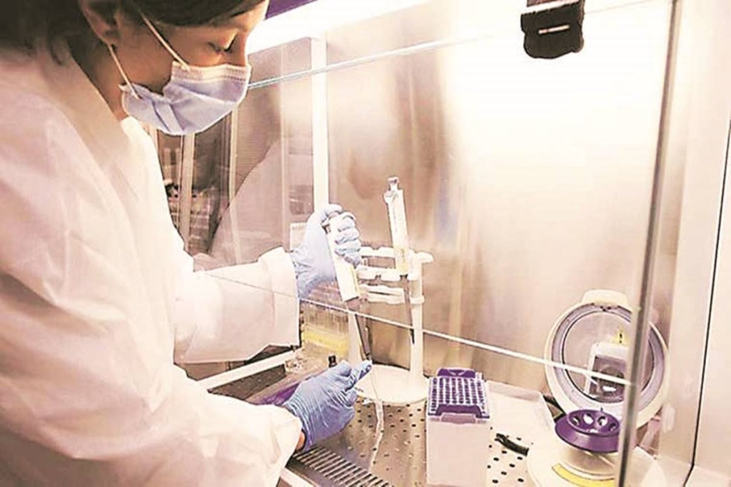 The scientists say their findings could help to target the surveillance for new diseases – possibly helping prevent the next pandemic before its starts.