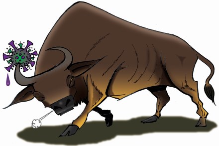 The market does not really bother about the level of infections, and while there are a couple of sessions that witness a decline in the Sensex, it is back to business