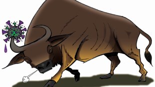 The market does not really bother about the level of infections, and while there are a couple of sessions that witness a decline in the Sensex, it is back to business