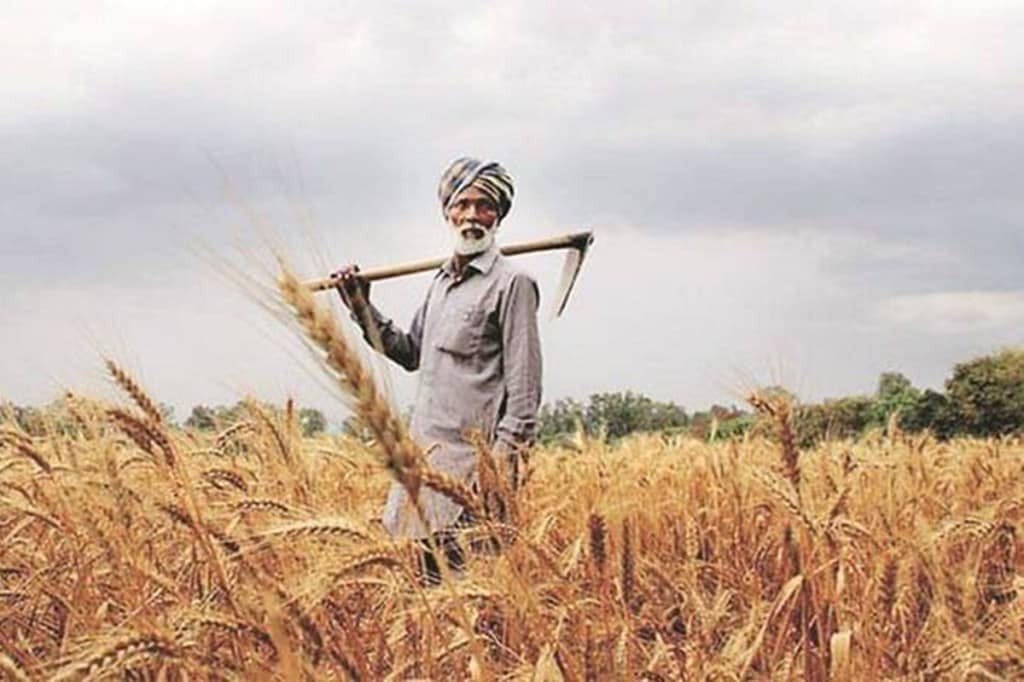 The Producer Support Estimate for India was negative 11.2% of the value of farm receipts between 2000-01 to 2019-20, while Consumer Support Estimate was one of the highest in the world at 28.8%, according to the OECD 2021 report.