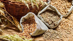 Output of jute/mesta is estimated to drop marginally to 9.62 million bales (180 kg each). in 2020-21 crop year, from 9.88 million bales in the previous year.