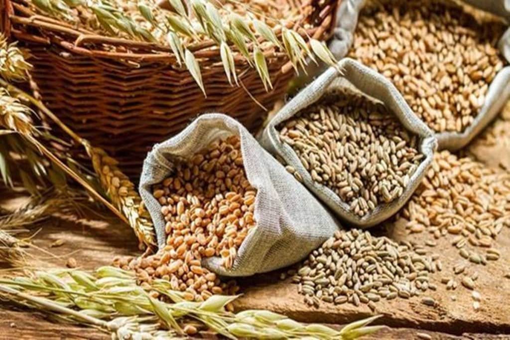 Output of jute/mesta is estimated to drop marginally to 9.62 million bales (180 kg each). in 2020-21 crop year, from 9.88 million bales in the previous year.