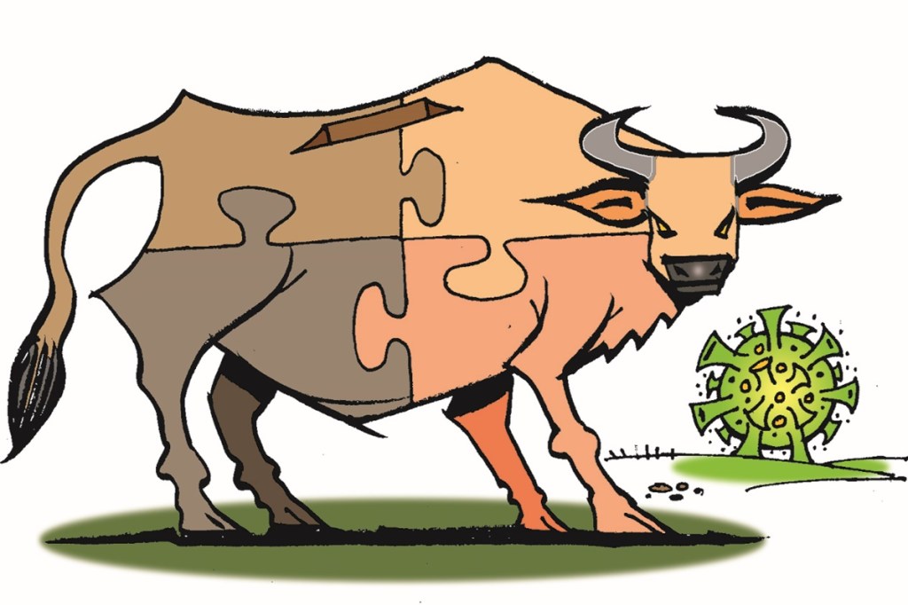 Experts suggest that investors stick to their asset allocation plan, remain focused on the long-term goals, diversify their portfolio, and stay away from panic in the markets.