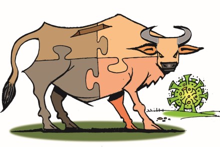 Experts suggest that investors stick to their asset allocation plan, remain focused on the long-term goals, diversify their portfolio, and stay away from panic in the markets. Experts suggest that investors stick to their asset allocation plan, remain focused on the long-term goals, diversify their portfolio, and stay away from panic in the markets.