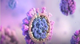 AMR-relevant measures in the dashboards represented four categories: policy indicators; antimicrobial resistance indicators; antimicrobial use indicators; and public health indicators.