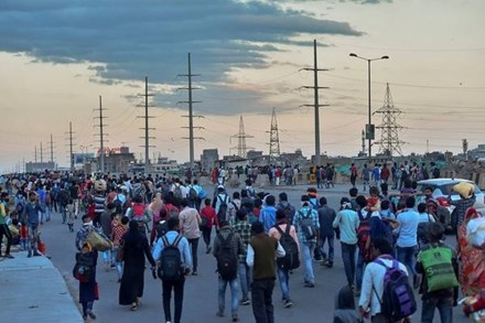 There were 21,879 interstate bus trips during the four weeks of the lockdown, it added. Chief Minister Arvind Kejriwal had first imposed a lockdown on April 19 which was later extended multiple times, lastly on May 16.