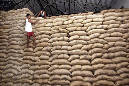 The Centre has constituted a high-level committee to look into a recommendation made by the Niti Aayog to implement a model of staggered payments to sugarcane growers and has asked state governments to submit their suggestions on this issue.