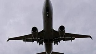 The flights to Maldives, US etc have now faded. (Representative image/ Reuters photo)