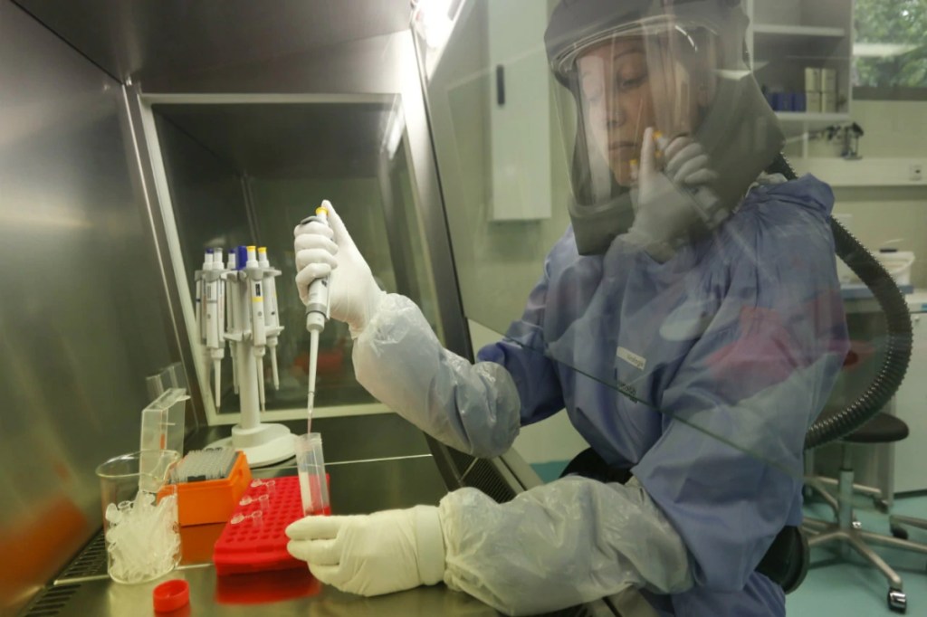 covid vaccine, new experimental COVID-19 vaccine, existing and future strain of coronavirus, pig model coronavirus, porcine epidemic diarrhea virus , newplatform to rapidky produce vaccines