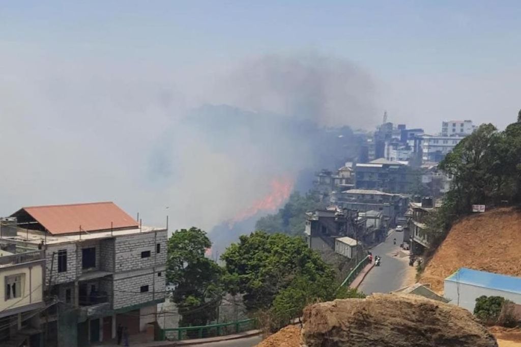 However, the cause of the forest fires is yet to be determined. (Image: Twitter/ Mizoram CM)