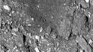 NASA asteroid samples