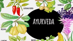 Ayurveda, immunity building, covid-19, turmeric, chyawanprash, MPIL