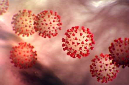 Coronavirus in India Live Updates, Covid-19 Lockdown India Live``