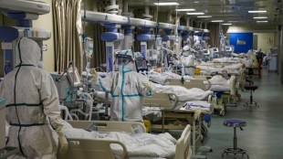 covid 19 cases in india