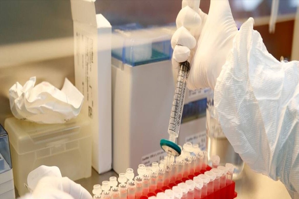 covid 19 vaccine development