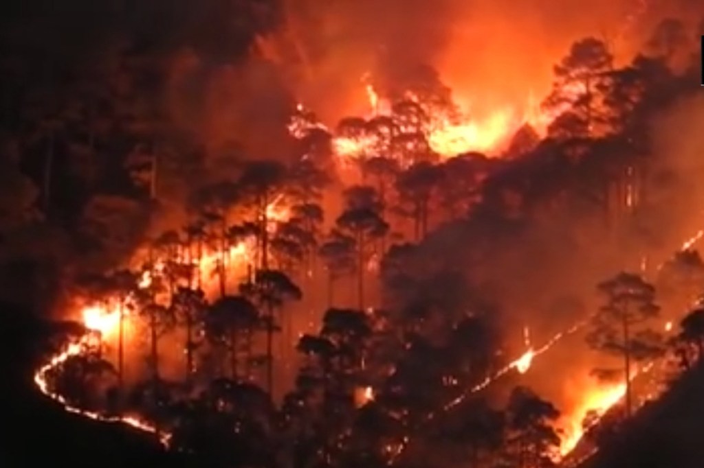 Forest fire in Uttarakhand (ANI)