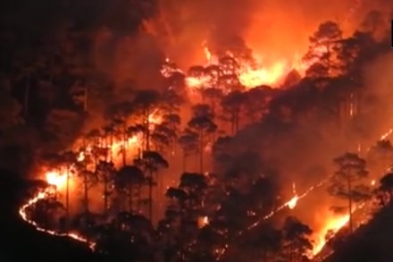 Forest fire in Uttarakhand (ANI)