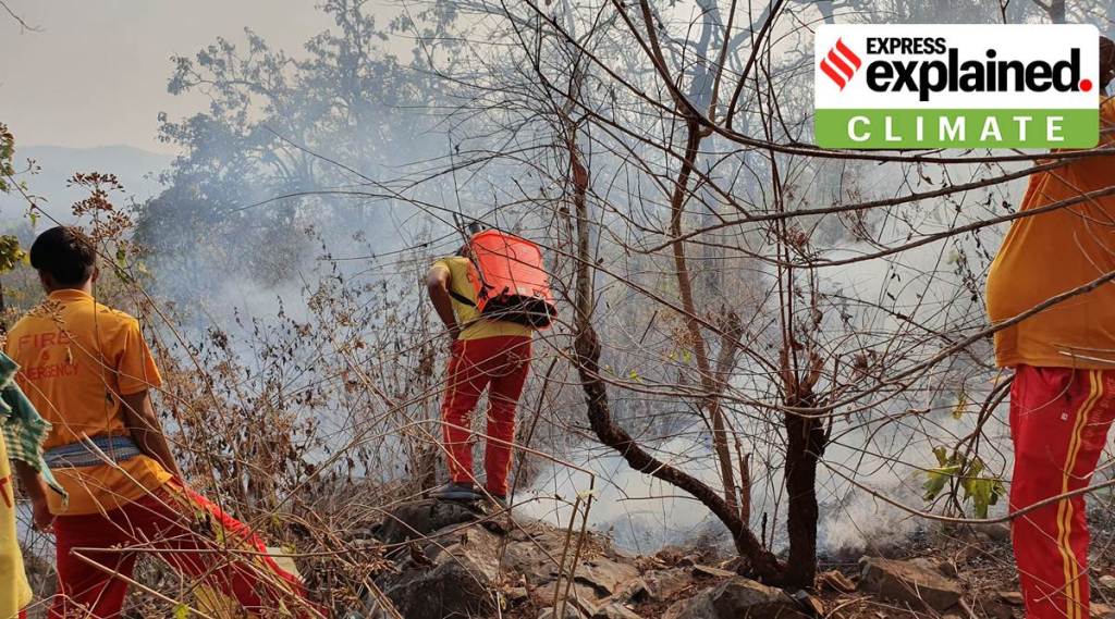High incidence of forest fires is possible in 2.4% of the forest area in the country.