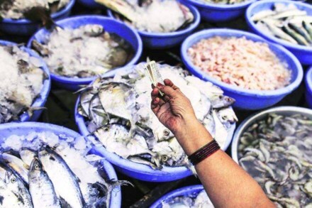 eSanTa platform for marine farmers, Piyush goyal, Marine Products Export Development Authority , selling marine products digitally