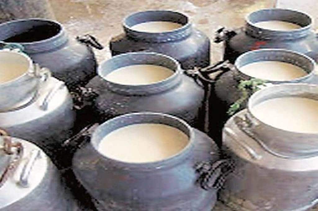 The government needs to intervene help dairies with export incentives to bring stability to the market, he said.