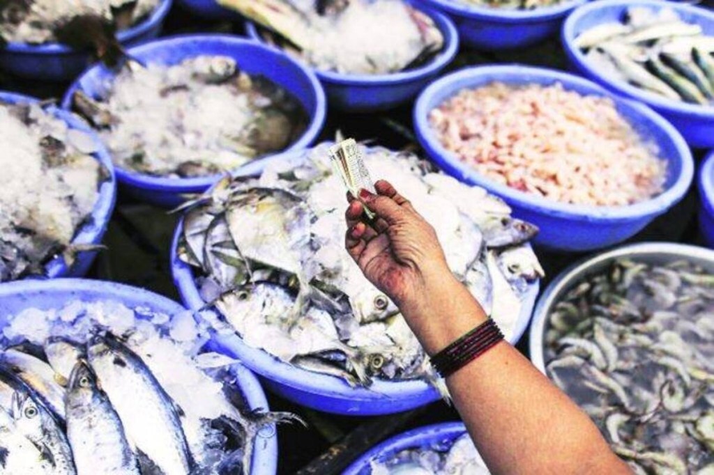 Keeping in view the huge demand of mud crab, particularly in southeast Asia, MPEDA had initiated a pilot project for mud crab seed (known as crab-instar) production in 2004.
