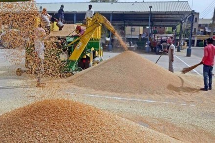 According to the UP Food Commissioner, the state government has made arrangements for safe storage of the huge quantity of wheat purchased given the arrival of the monsoon.