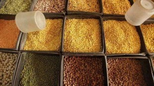 As per official data, retail price of gram increased to Rs 80/kg on May 14 from Rs 60/kg a year ago, tur rose to Rs 110/kg from Rs 90/kg, while urad to Rs 105/kg from Rs 100/kg and masoor dal to Rs 80/kg from Rs 72.50/kg.