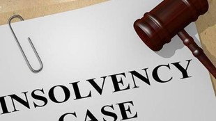 It further held that Parliamentary intent was to treat personal guarantors differently from other categories of individuals.