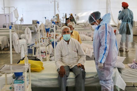 The Total Fatality Rate (TFR) in May had gone up to 2 per cent and every infected person has prayed that he or she should not be among the dead. The Total Fatality Rate (TFR) in May had gone up to 2 per cent and every infected person has prayed that he or she should not be among the dead.