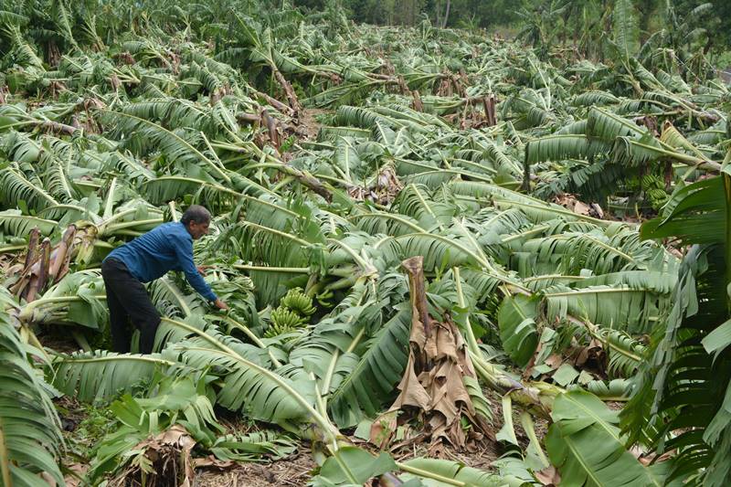Cyclone Tauktae Live Tracking, Heavy Rainfall in Mumbai, Gujarat Live Updates