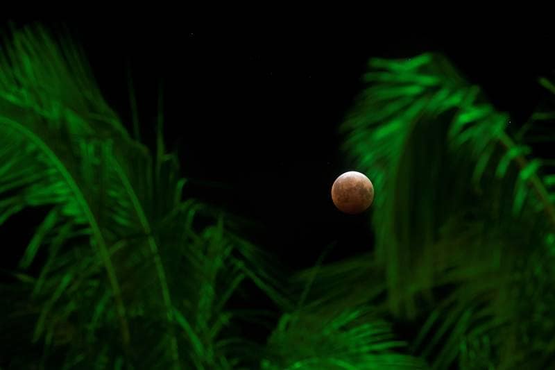 super blood moon, super blood moon 2021, super blood moon 2021 india, super blood moon 2021 india time, super blood moon time, super blood moon philippines, super blood moon pictures, super blood moon pics, super blood moon photo