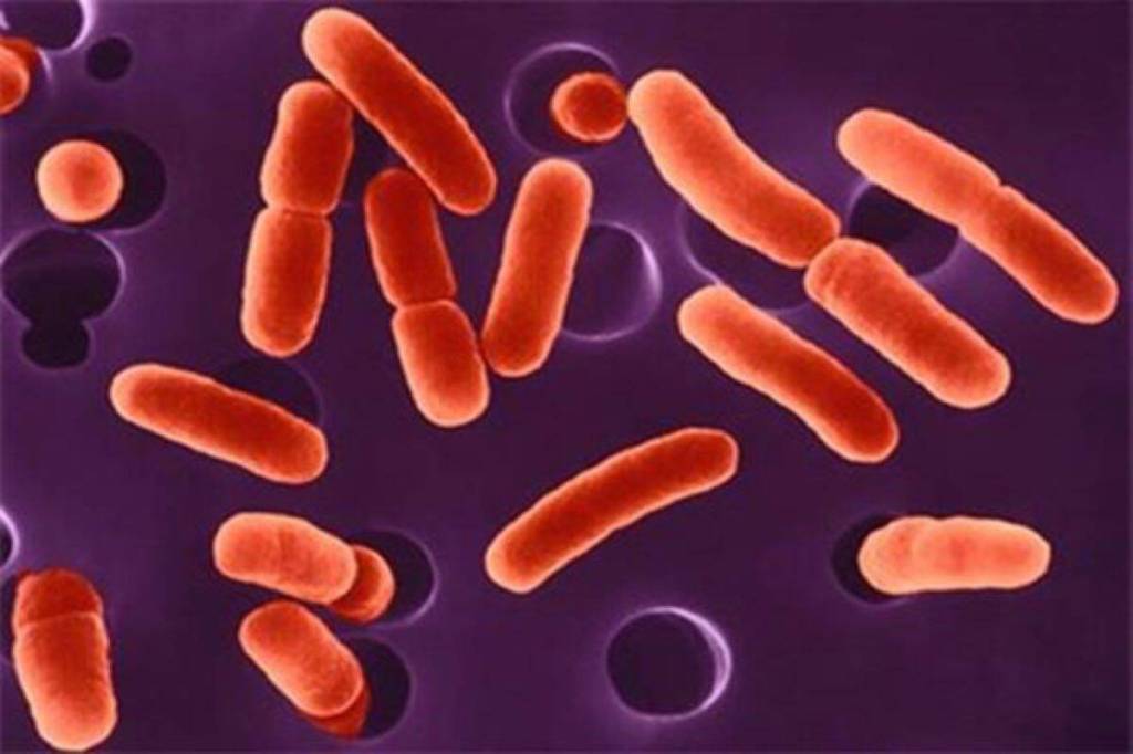 Scientific communities were engaged in the study of antimicrobial resistance (AMR) and the water bodies were the
major source for the dissemination and transfer of AMR. (Representational Image)