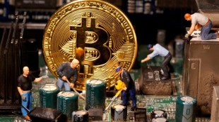 bitcoin price crasHes investor in dilemma what to do know here what expert say for bitcoin cryptocurrency investment