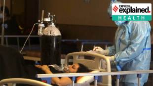 Black fungus or mucormycosis