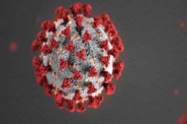 The Lancet Citizens' Commission on Reimagining India's Health System, which comprises 21 experts including virologist Gagandeep Kang and Narayana Hrudalaya chairperson Devi Shetty, was launched in December last year.