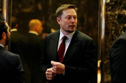 Elon Musk, tesla, Bitcoin, cryptocurrency, dogecoin