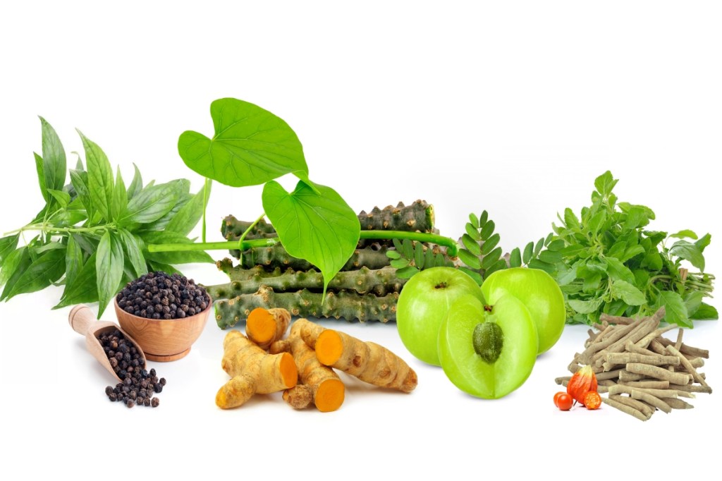 organic food and products, building ummunity chemical free consumption, absence of foreign additives , organic supplements to fight Covid,