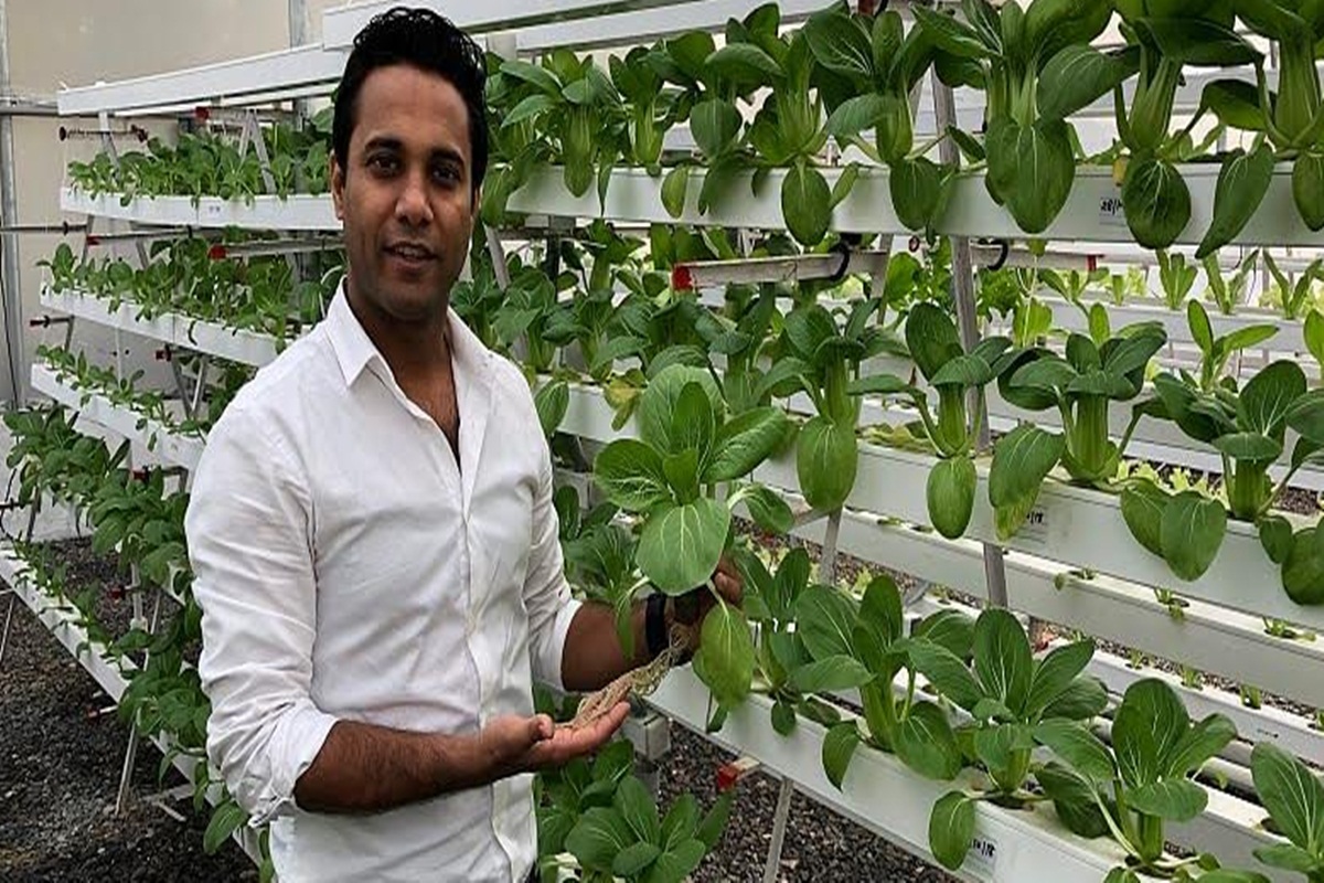 Hydroponic Farming