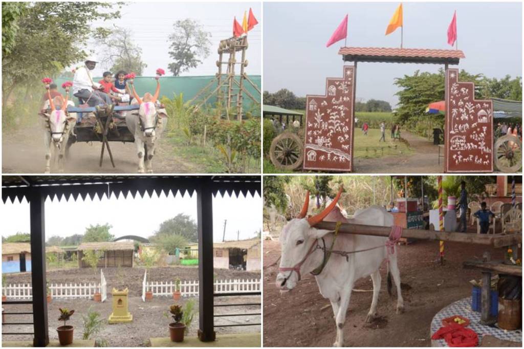 Agri tourism, Maharashtra Tourism, World Agri-tourism day, Department of Tourism Maharashtra , International Conference on Agri Tourism, Mango Festival Ratnagiri, Orange Festival Nagpur, Grape Festival Nashik, Chickoo Festival Dahanu