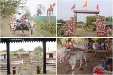 Agri tourism, Maharashtra Tourism, World Agri-tourism day, Department of Tourism Maharashtra , International Conference on Agri Tourism, Mango Festival Ratnagiri, Orange Festival Nagpur, Grape Festival Nashik, Chickoo Festival Dahanu