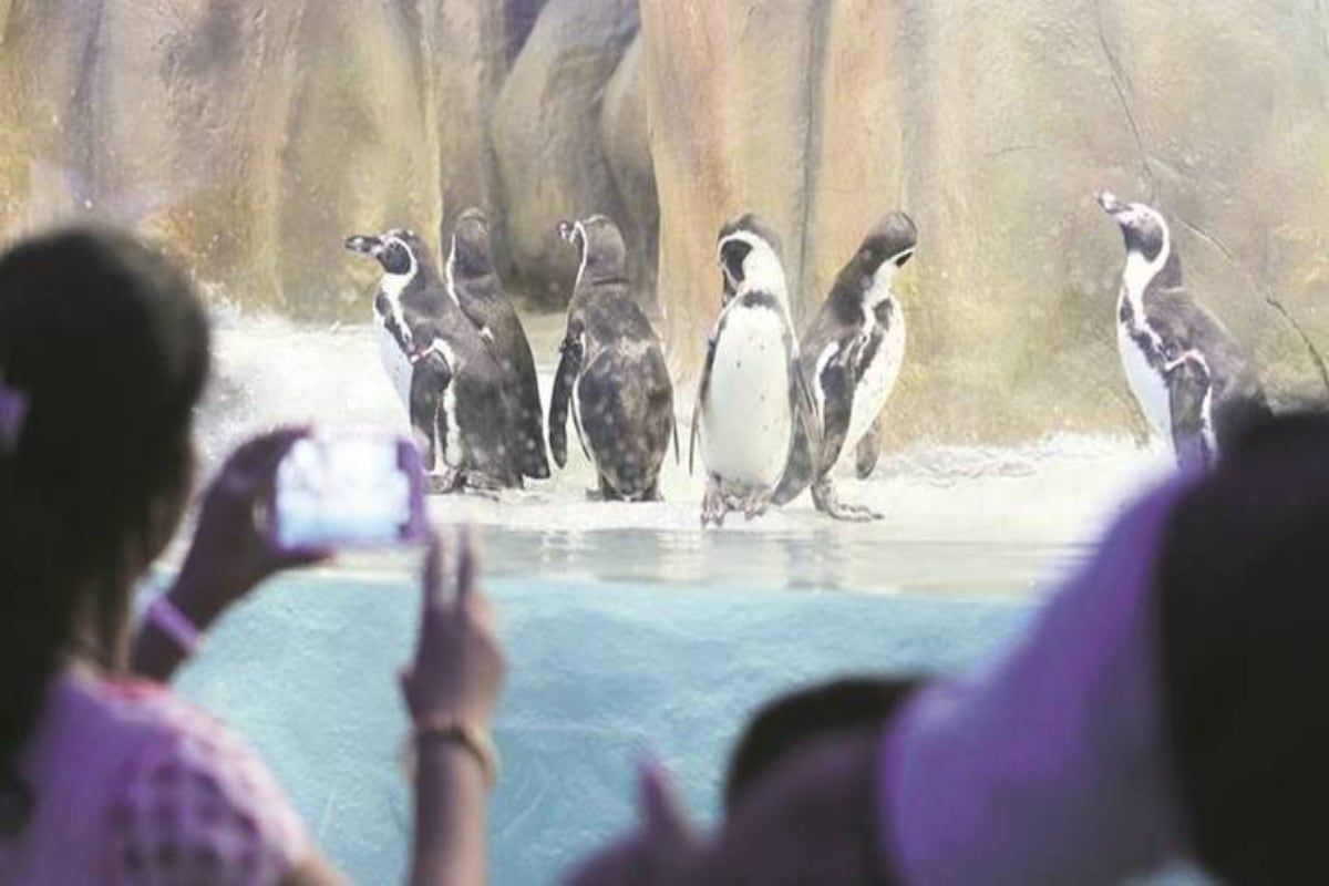 Mumbai Zoo expansion, Veermata Jijabai Bhosale Udyan, Mumbai covic zoo, Byculla Zoo , BMC