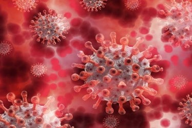 coronavirus
