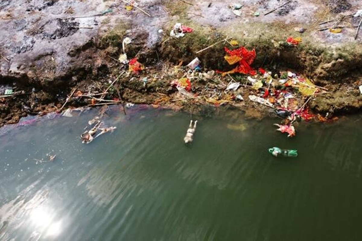 Floating dead bodies in Ganga