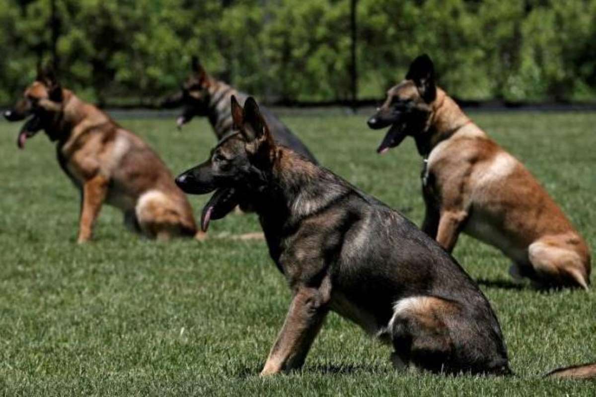 One of the studies was published in April in journal PLOS One by researchers at University of Pennsylvania. (Representational image: Reuters) One of the studies was published in April in journal PLOS One by researchers at University of Pennsylvania. (Representational image: Reuters)