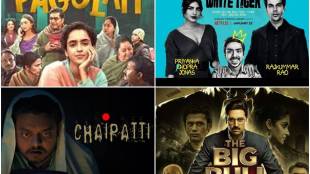 Netflix, Disney+ Hotstar, Hindi Movies, The White Tiger, priyanka Chopra