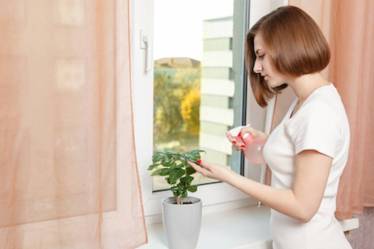 Indoor air pollution and exposure to various hazardous substances in our homes are risks we could do something about.