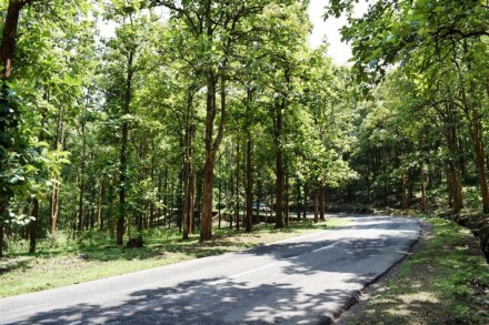 travel and tourism travel and tourism