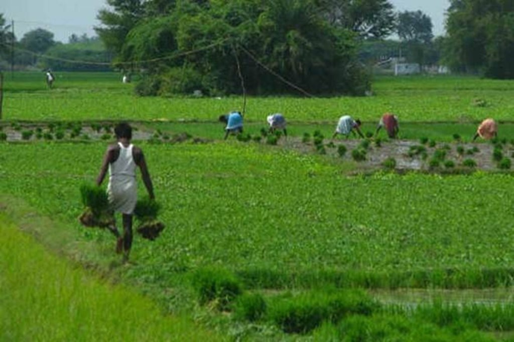 Farm exports rose over 17% last fiscal to $41.25 billion when total merchandise shipments shrank by about 7% to almost $291 billion.