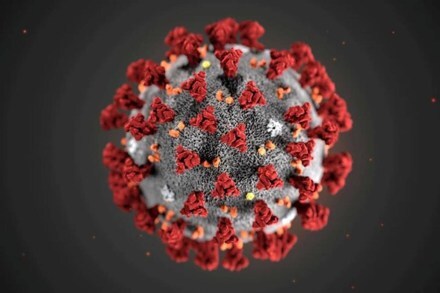 coronavirus pandemic