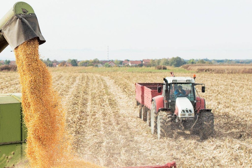 Unfortunately, agriculture cannot pull the economy out of the trough.